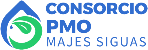 Aula Virtual PMO Majes Siguas