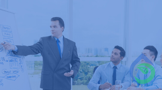 Curso de Capacitación en Fundamentos de Dirección de Programas