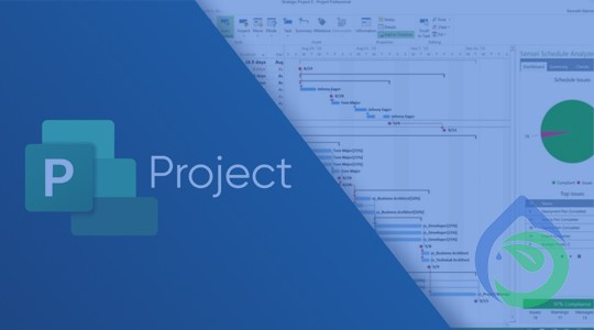 Curso sobre Gerencia de Proyectos con MS Project